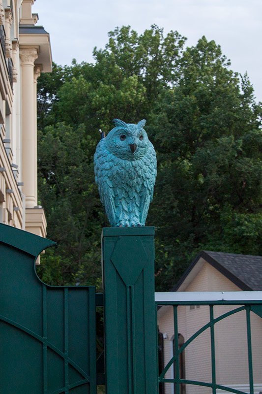 Сова