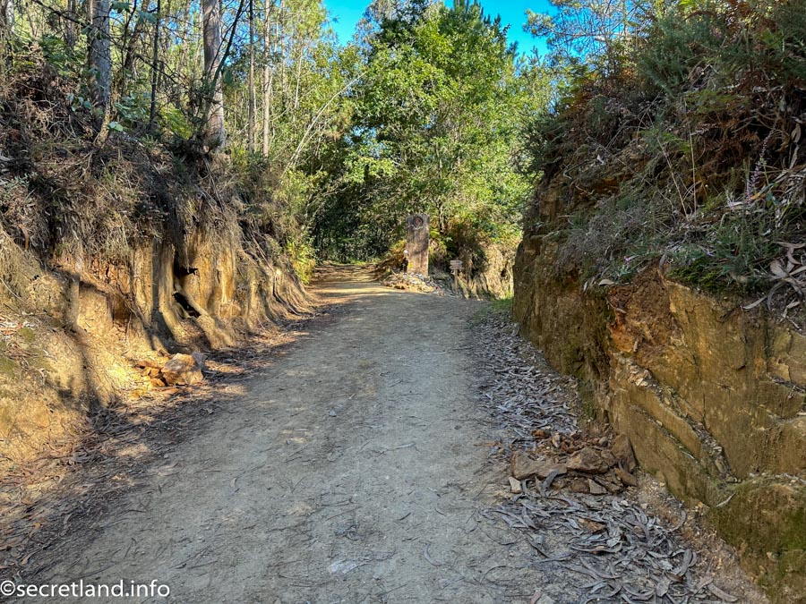 The road went through the forest again