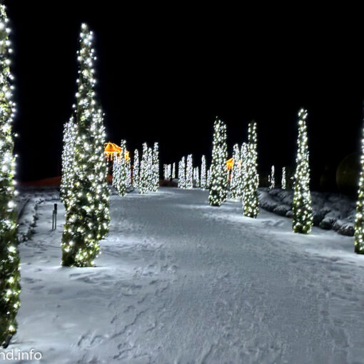 Зима в Добропарку