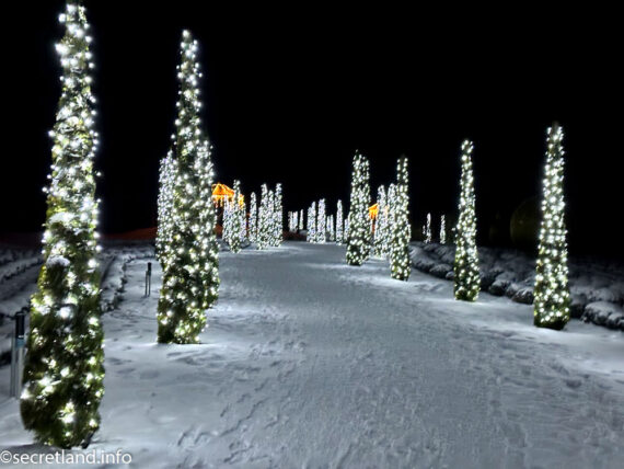 Зима в Добропарку