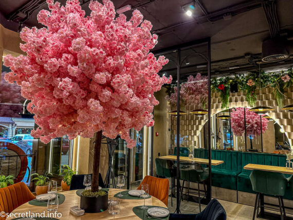 Інтер'єр ресторану HANAMI UNIQUE