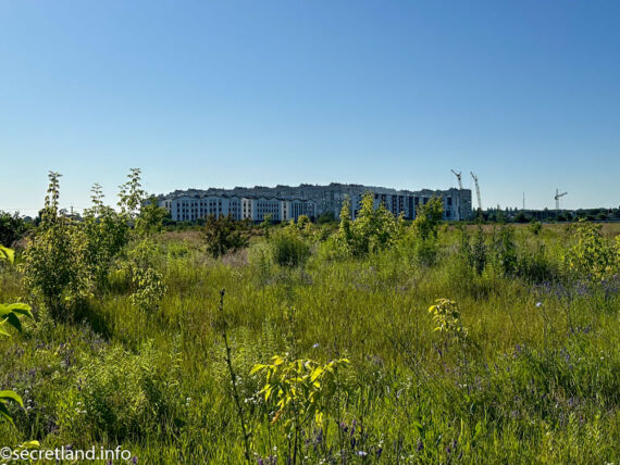 Поле Святопетрівське