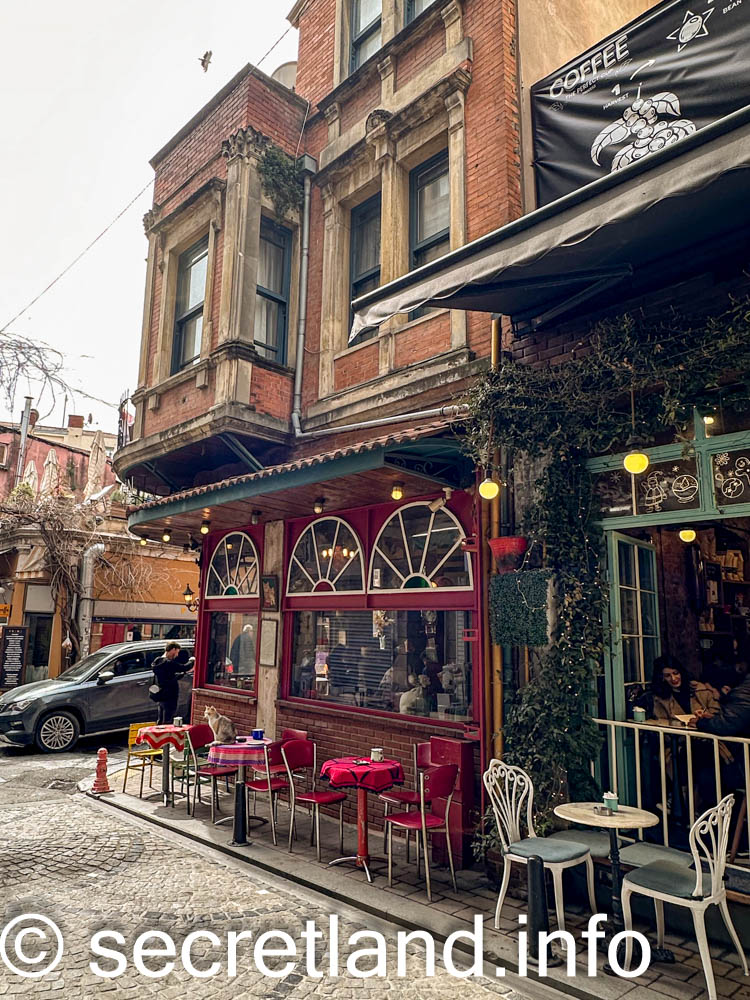   Cafe Naftalin K
