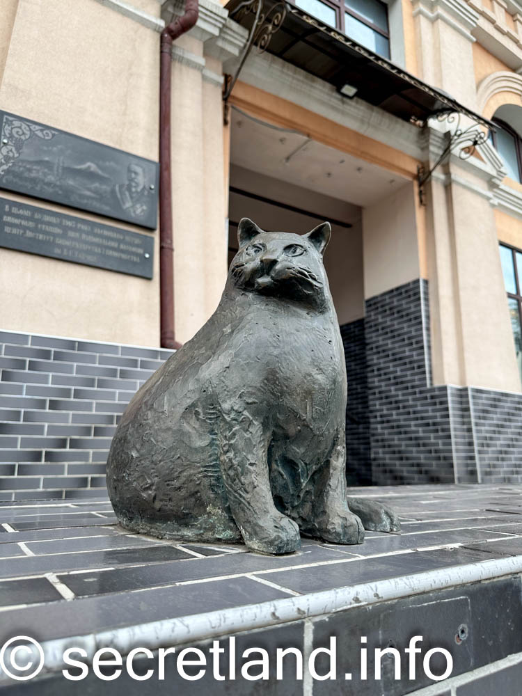 Кішка Базарина