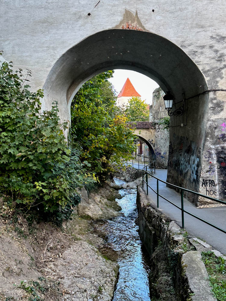 Bastionul Graft